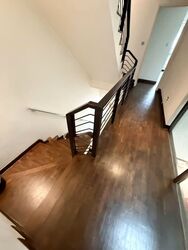 Mimosa Terrace (D28), Semi-Detached #553639891